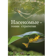 Насекомые — гении стратегии