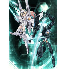 Боевые Шинки