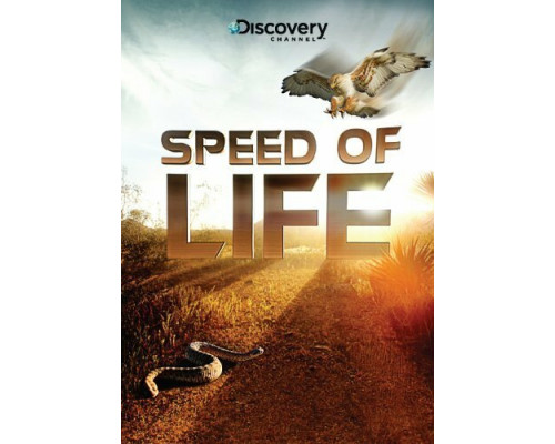 Discovery: Скорость жизни смотреть онлайн