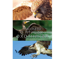 Рассказы о птицах-охотниках