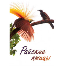 Райские птицы