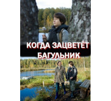 Когда зацветёт багульник