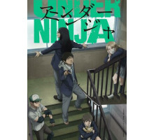 Низкоквалифицированный ниндзя