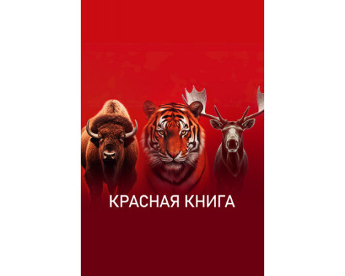 Красная книга смотреть онлайн