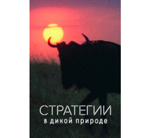 Стратегии в дикой природе