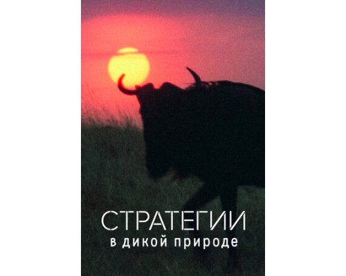 Стратегии в дикой природе смотреть онлайн