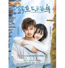 Как чистить зубы крокодилу