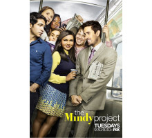 Проект Минди