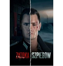 Шпионский залив