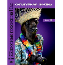 Животные похожи на нас