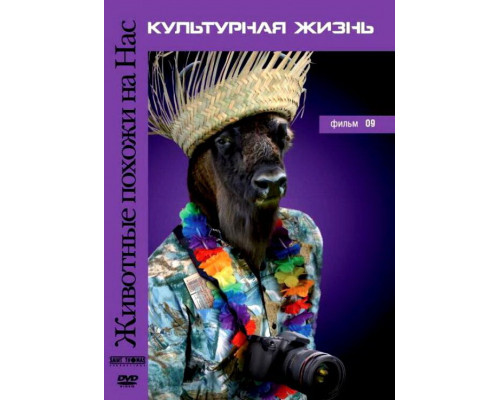 Животные похожи на нас смотреть онлайн