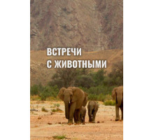 Встречи с животными