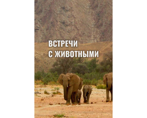 Встречи с животными смотреть онлайн