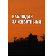 Наблюдая за животными