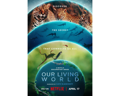 Наш живой мир смотреть онлайн