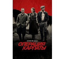 Операция «Карпаты»