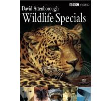 Живая природа: Специальные выпуски