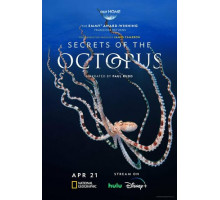 Секреты осьминога