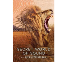 Тайный мир звуков с Дэвидом Аттенборо
