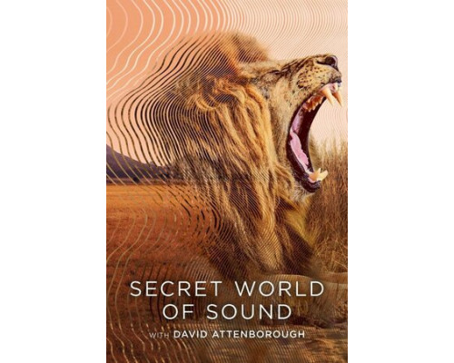 Тайный мир звуков с Дэвидом Аттенборо смотреть онлайн