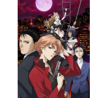 Рёко Якусидзи и загадочные преступления