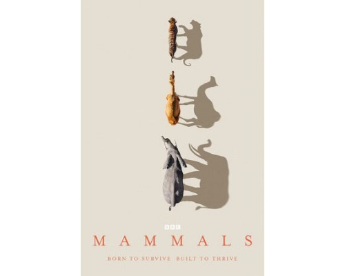 Млекопитающие смотреть онлайн