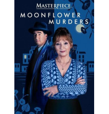 Совы охотятся ночью