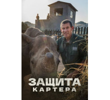 Защита Картера
