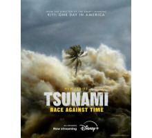 Цунами: Гонка со временем