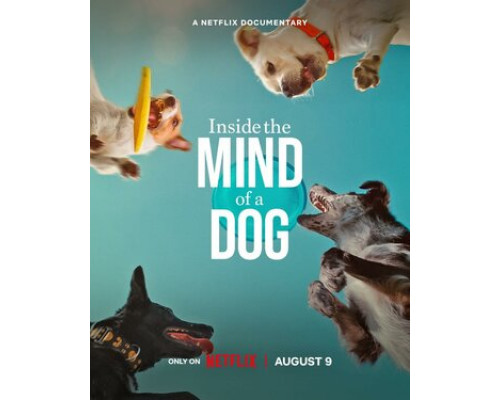 О чем думают собаки смотреть онлайн