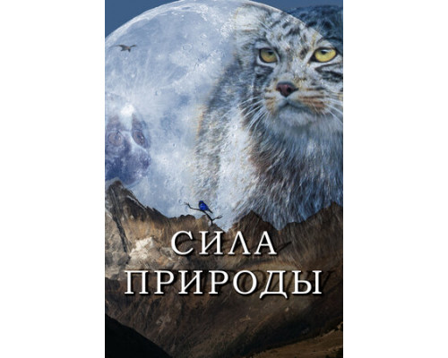 Сила природы смотреть онлайн