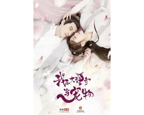 Я — питомец в храме Дали смотреть онлайн