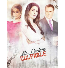 Я признаю свою вину