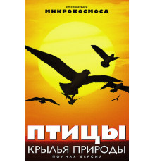 Птицы: Крылья природы
