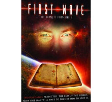 Первая волна