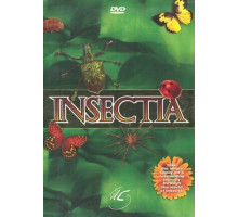 Страсти по насекомым