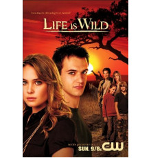 Дикая жизнь