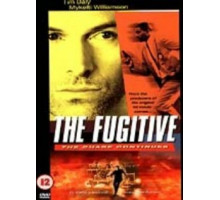 Беглец: Погоня продолжается