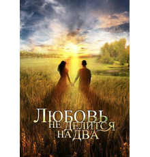 Любовь не делится на два