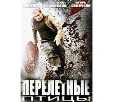 Перелётные птицы