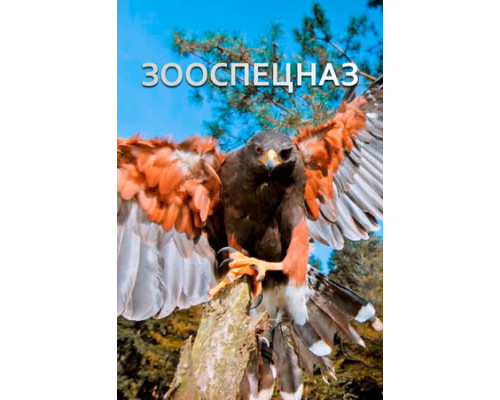 Зооспецназ смотреть онлайн