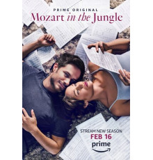 Моцарт в джунглях