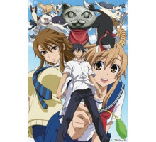 Кошачьи прихоти!