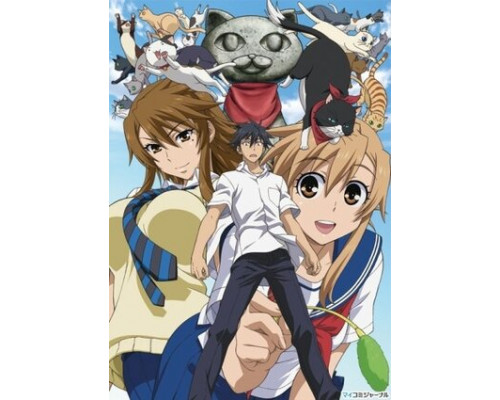 Кошачьи прихоти! смотреть онлайн