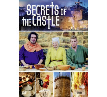 Как построить средневековый замок