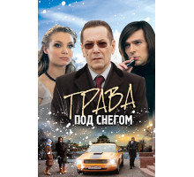 Трава под снегом