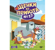 Щенки из приюта № 17