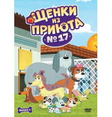 Щенки из приюта № 17