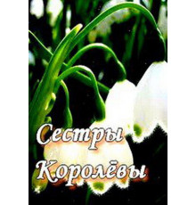 Сестры Королевы