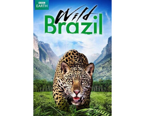 Дикая Бразилия смотреть онлайн